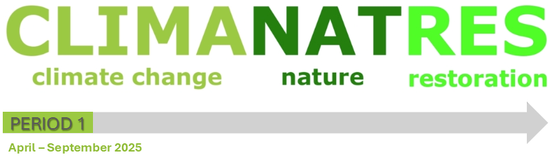 1st_phase_approved_img_eng